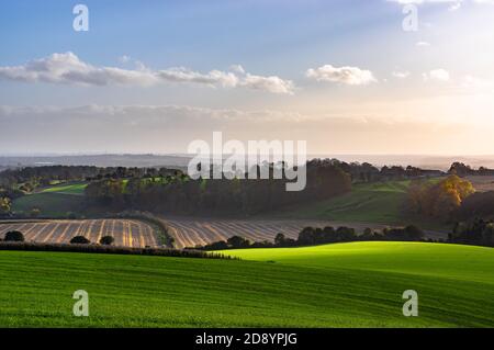 Luce del sole nel tardo pomeriggio attraverso una vista panoramica dei campi. Farley Mount, Hampshire, Inghilterra. Foto Stock