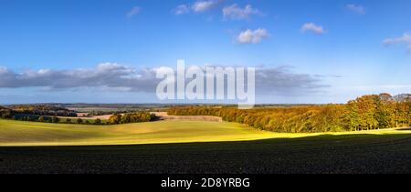 Un paesaggio tipicamente inglese autunnale illuminato da luce dorata nel tardo pomeriggio a Farley Mount, Hampshire, Inghilterra. Immagine panoramica ad alta risoluzione. Foto Stock