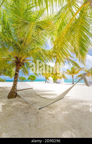 Amaca spiaggia tra palme alberi cielo nuvoloso, oceano. Spiaggia paradiso soleggiato con palme e amaca tradizionale intrecciata Foto Stock