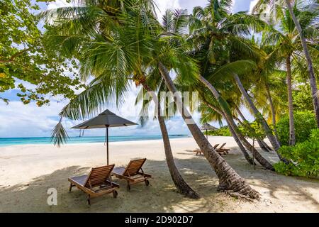 Due sedie da spiaggia sull'idilliaca spiaggia tropicale di sabbia bianca. Ombra dalle palme. Nessun rumore, rendering 3d pulito e estremamente dettagliato. Concetto per le vacanze Foto Stock