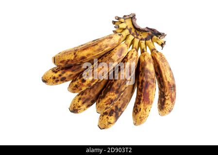 Ramo di mini banane supermature su sfondo bianco isolato Foto Stock