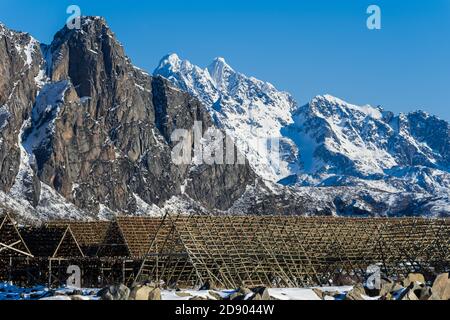 Enormi scaffali vuoti in legno per appendere e asciugare cod a. Fare lo stock sulle isole Lofoten in Norvegia su chiaro giornata invernale con cielo blu Foto Stock