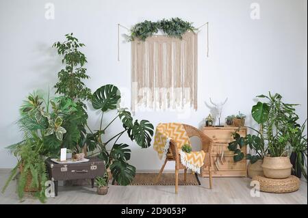 Interni accoglienti in stile boho, arredamento e fiori interni Foto Stock