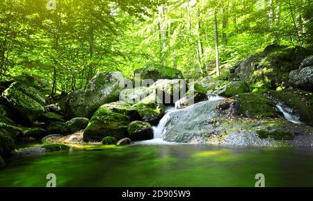 Bella piccola cascata nella verde foresta di abete rosso con grandi rocce intorno, Hejnice, Liberecky kraj, Jizerske hory, repubblica Ceca Foto Stock