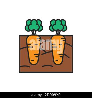 Icona della linea di colore delle carote in crescita. Pittogramma per pagina web, app mobile, promo. Illustrazione Vettoriale