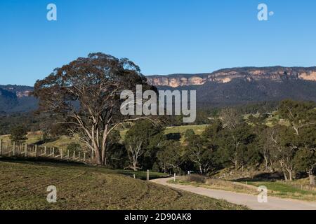 Megalong Creek Estate, Blue Mountains Winery, Megalong Valley, NSW, Australia. Foto Stock
