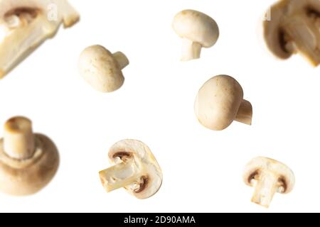 I pezzi di funghi e champignons e tutto volano nello spazio su uno sfondo bianco. Levitazione, cibo vegetariano sano. Foto Stock