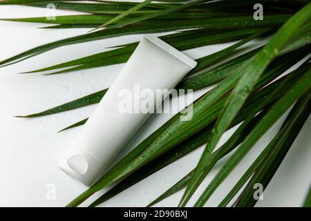 tubo per crema corpo e foglie di piante verdi bagnate su sfondo bianco. mockup contenitore cosmetico vuoto Foto Stock