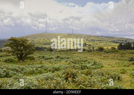 Caradon Hill sul bordo di Bodmin Moor vicino a Minions, Cornovaglia, Inghilterra, Regno Unito. Foto Stock