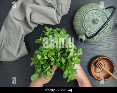 Mani che tengono le foglie fresche della menta e la pentola asiatica del tè sul tavolo nero. Foto Stock