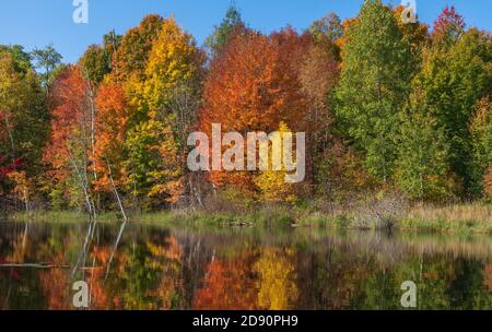 Autunno su un lago selvaggio nel Wisconsin settentrionale. Foto Stock