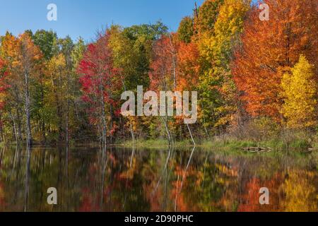 Autunno su un lago selvaggio nel Wisconsin settentrionale. Foto Stock