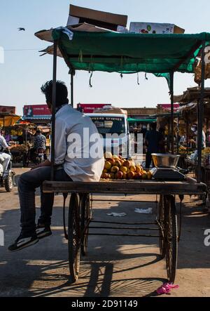 Jaisalmer, Rajasthan / India - novembre 02 2020 : giovane uomo adulto siede sul suo proprio carrello di frutta, uomo che vende frutta e siede sul suo proprio carrello Foto Stock