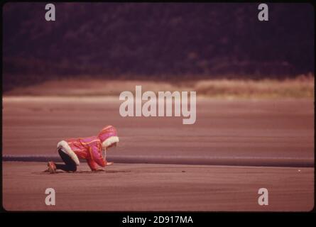 Just-like-the-spiaggia-fiume-columbia-è-mostrato-qui-al-rooster-rock-state-Park-18-miles-est-di-portland Foto Stock