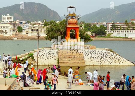 Pushkar, India - 15 agosto 2016: Uomini, mucche e donne in variopinti sari al lago per il bagno santo. Il lago Pushkar è uno dei luoghi più santi per gli indù Foto Stock