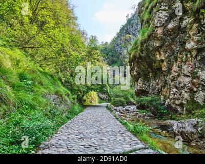 strada in pietra nei boschi Foto Stock