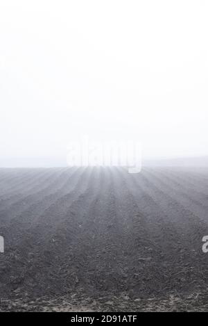 Un campo di fattoria foggy pronto per piantare le sementi nella campagna lituana. Foto Stock