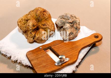 due tartufi bianchi grandi di erba su affettatrice di legno e bianco tovagliolo Foto Stock