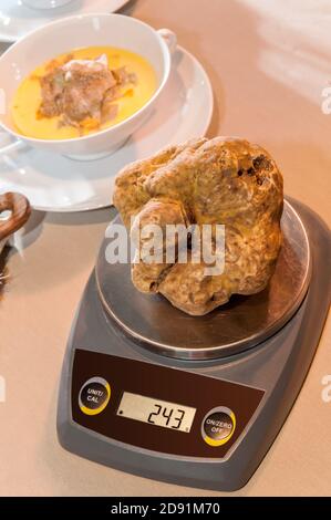 un grande tartufo bianco sulla bilancia che indica il peso in grammi, sullo sfondo bicchierino maneggiato con fonduta di formaggio e tartufi a fette Foto Stock