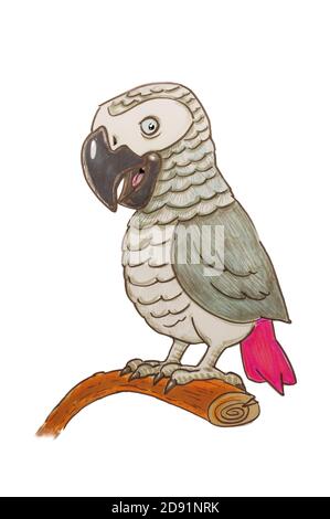 illustrazione di cartoni animati di pappagallo grigio su sfondo bianco Foto Stock