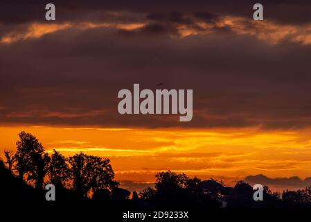 L'alba colorata di una nuova giornata sulla campagna toscana, l'Italia Foto Stock