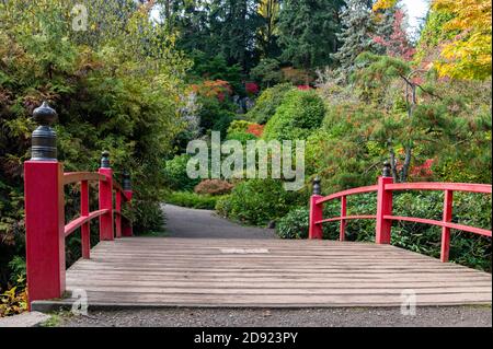 Ponte pedonale in stile giapponese rosso all'interno dei Kubota Gardens di Seattle, Washington, USA Foto Stock