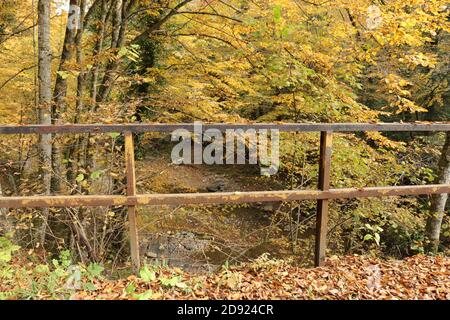 Foresta sentiero escursionistico in autunno su un piccolo rustico ponte Foto Stock