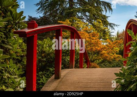 Ponte pedonale in stile giapponese rosso all'interno dei Kubota Gardens di Seattle, Washington, USA Foto Stock