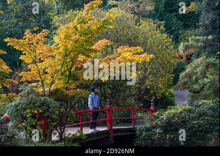 Una persona in piedi su un ponte di stile giapponese rosso dentro I Kubota Gardens nel giardino pubblico di Seattle Foto Stock