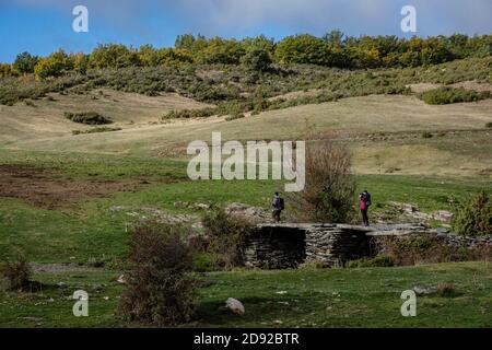 Ponte di lastra sul fiume Lillas, Sierra Norte de Guadalajara Parco Naturale, Cantalojas, Guadalajara, Spagna Foto Stock