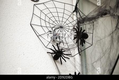 Spiderweb su vecchie mura hallowen, animali e festival della natura Foto Stock