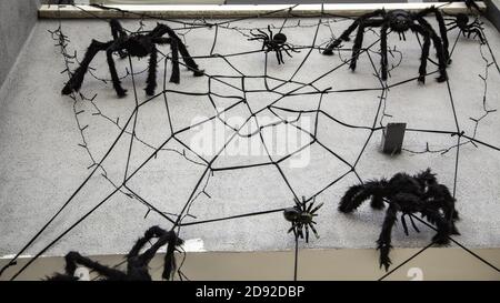 Spiderweb su vecchie mura hallowen, animali e festival della natura Foto Stock