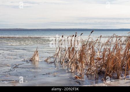 Lago che comincia a congelare in inverno, lago di prateria, Saskatchewan Canada Foto Stock