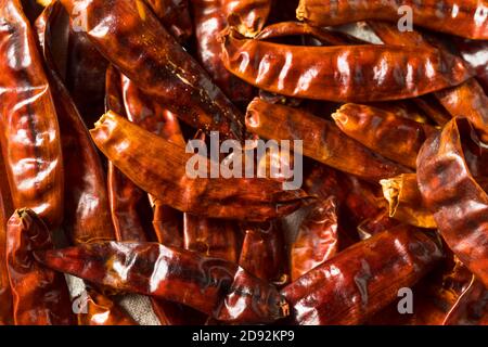 Peperoni rossi Indiani speziati organici pronti a cucinare con Foto Stock