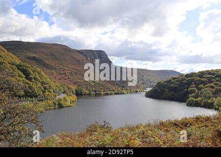 Vicino a Tynllidiart, Garreg DDU Reservoir Walking Trail, Elan Valley, Rhayader, Radnorshire, Powys, Galles, Gran Bretagna, Regno Unito, Regno Unito, Europa Foto Stock