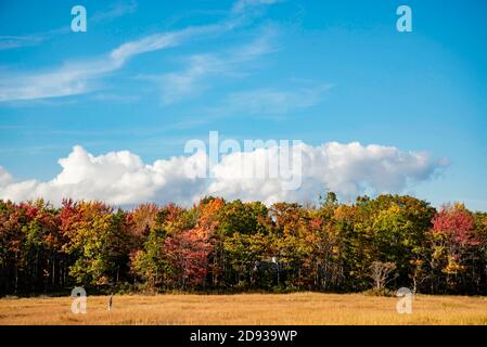 Fogliame autunnale e riflessione nel paesaggio del Maine. Foto Stock