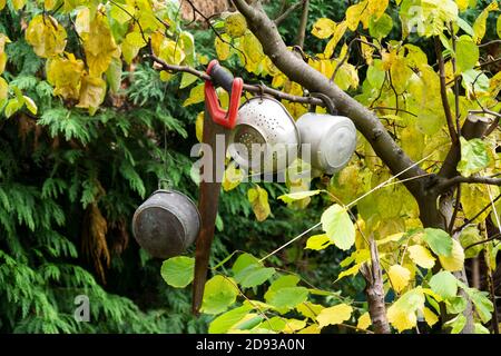 Pentole e padelle appese ad un albero Foto Stock