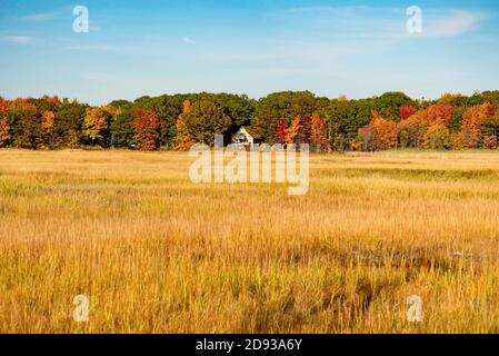 Fogliame autunnale e riflessione nel paesaggio del Maine. Foto Stock