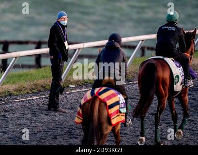 Lexington, Kentucky, Stati Uniti. 2 Nov 2020. 2 novembre 2020: James Fanshawe persegue i cavalli come Tarnawa, addestrato dall'addestratore Dermot K. Weld, e Mighty Gurkha, addestrato dall'addestratore Archie Watson, esercitarsi in preparazione per la tazza di allevatori Juvenile Turf Sprint al circuito di Keeneland a Lexington, Kentucky il 2 novembre 2020. Scott Serio/Eclipse Sportswire/Breeders Cup/CSM/Alamy Live News Foto Stock
