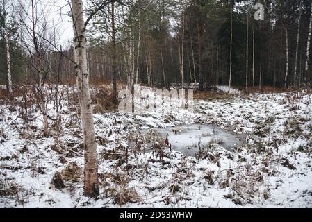 Fine autunno. Il piccolo stagno è coperto da una sottile crosta di ghiaccio. L'erba intorno è polverizzata con la prima neve. Foto Stock