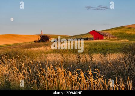 Granaio rosso sul campo di grano al tramonto, Palouse, Washington state, Stati Uniti Foto Stock