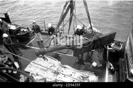 UNA PISTOLA DI BRONZO VIENE TRASCINATA A BORDO DELLA NAVE DI SALVATAGGIO MARY ROSE SLEIPNER. PORTSMOUTH 1981 Foto Stock