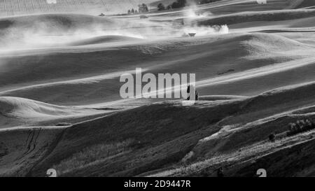 Paesaggio di Rolling Wheat Field, Palouse, Washington state, Stati Uniti, vista da Kamiak Butte Foto Stock