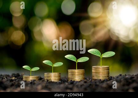 Piante in crescita su monete impilate su sfondi verdi offuscati e luce naturale con idee finanziarie.