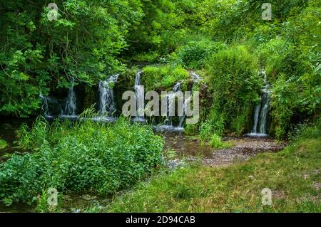 Piccola cascata su una diga di tufo (calcite depositata da acque di grotta super sature), in alta estate sul fiume Lathkill nel Derbyshire. Foto Stock