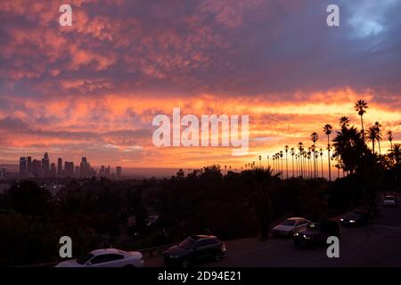 Tramonto spettacolare sullo skyline e le palme del centro di Los Angeles Alberi da Elysian Park Foto Stock