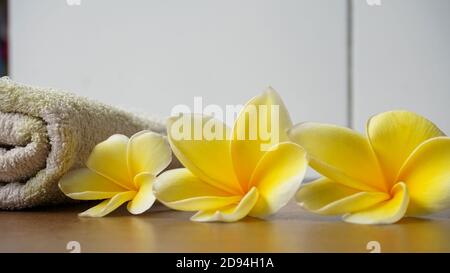 Primo piano di fiori di frangipani gialli Foto Stock