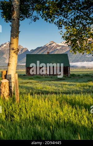 Edificio rustico, parte della storica residenza di Morman Row in Antelope Flats, nel Grand Teton National Park Wyoming, all'alba Foto Stock