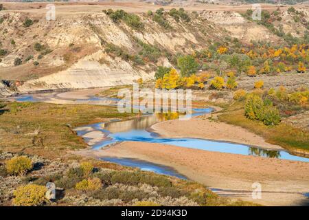 Little Missouri River, Wild Canyon, Autunno, Theodore Roosevelt National Park, N Dakota, USA, di Dominique Braud/Dembinsky Photo Assoc Foto Stock