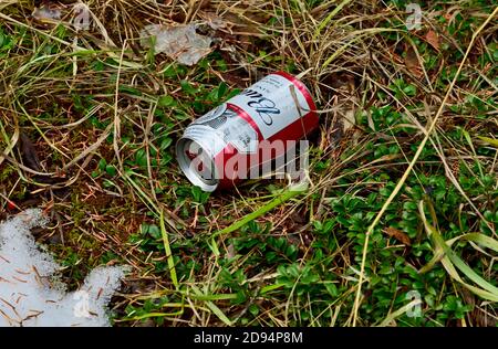 Una birra vuota può essere scartata in un'area naturale boscosa. Foto Stock